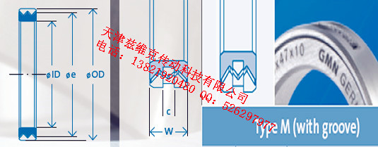 GMNM68X85X10油封圖紙